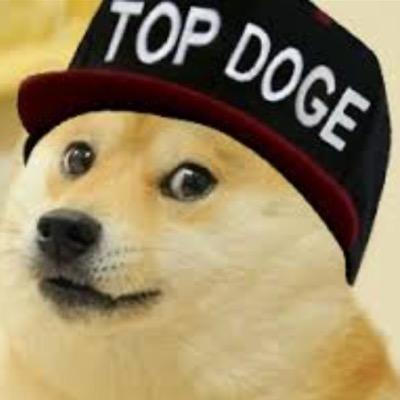 TwinkieDGaming's profile picture. Hello all. Please subscribe to my youtube channel TopDogeGaming for Epic vids https://t.co/3E4nh707dF
