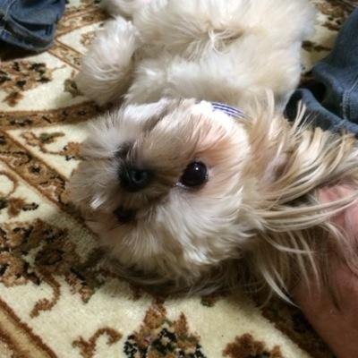 mayu20070707's profile picture. 