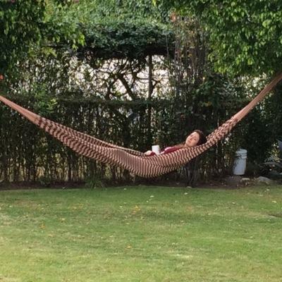 FerLeRotz's profile picture. 