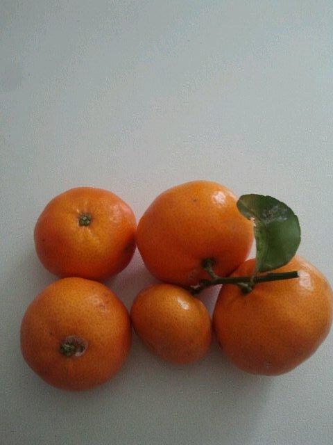 lilian99dbtte44's profile picture. Tu bff te ama/ Enjoy de ride