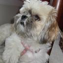 Joyce Kamp - @kampjoyce - Twitter