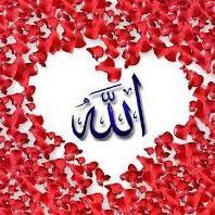 subeditor_riyaz's profile picture. 