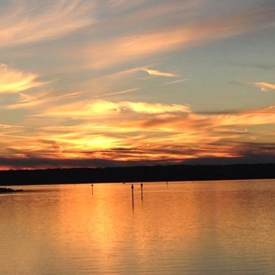 CrewsVicky's profile picture. love to cook and love college and pro basketball and football.