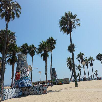 GeorgeBlaanchar's profile picture. Sup Peps