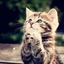 DORISABG's profile picture. 