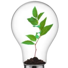 Avalon Community Energy Cooperative (ACE) are an energy organisation set up to bring community-owned renewables to the people of Mid-Somerset.
