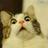 hven84's profile image