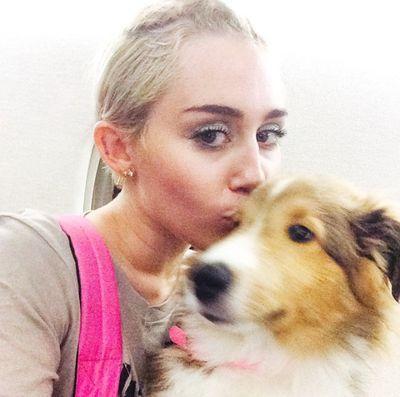 @mileycyrus