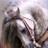 Toot_11111's profile image