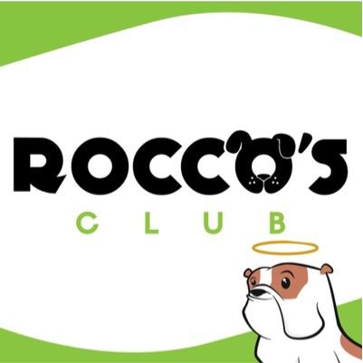 roccosclub's profile picture. Caja mensual para que perrito se divierta a lo grande!!! siguenos en instagram @roccosclub