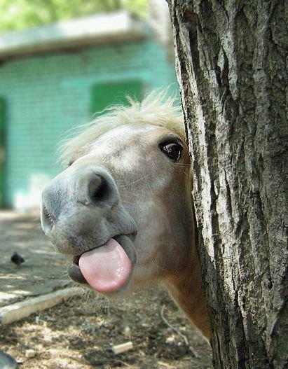I Love God, Love to Laugh, Love animals and Nature - Hate what is happening to our country because of the idiots in charge.