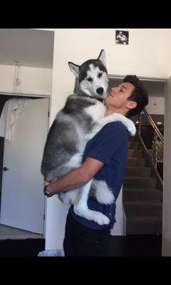✨hi this is Jax fan page✨we love Jax so much,he is adorable with cam✨ #caxx
