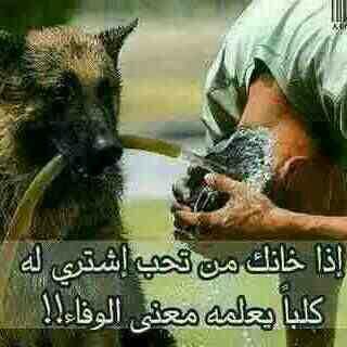 ‏لتوصل  على  الواتس 0568292043