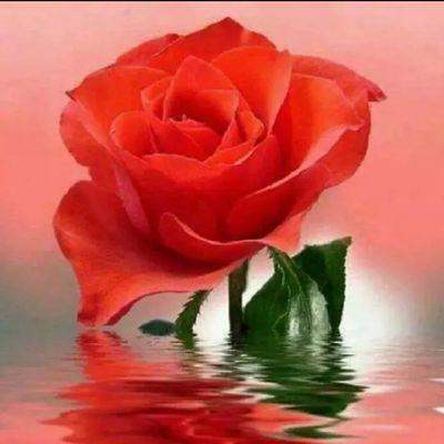 ‏‏أسأل الله العظيم رب العرش العظيم ان يكون كل ما انشر في ثوابي وثواب خادم الحرمين الشريفين الملك عبدالله بن عبدالعزيز رحمه الله