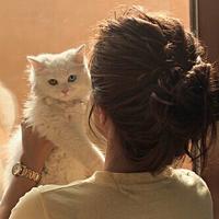 נєαη  ιттιнα∂ (@i_meeshaa) Twitter profile photo