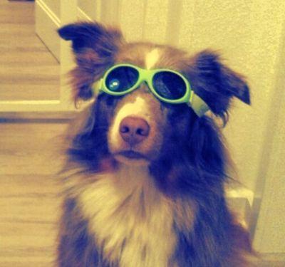 travelphoton's profile picture. 