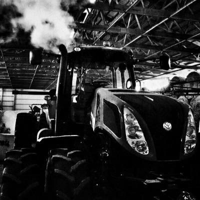 MlongNH's profile picture. 