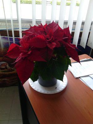 BIPC2's profile picture. sagarpa