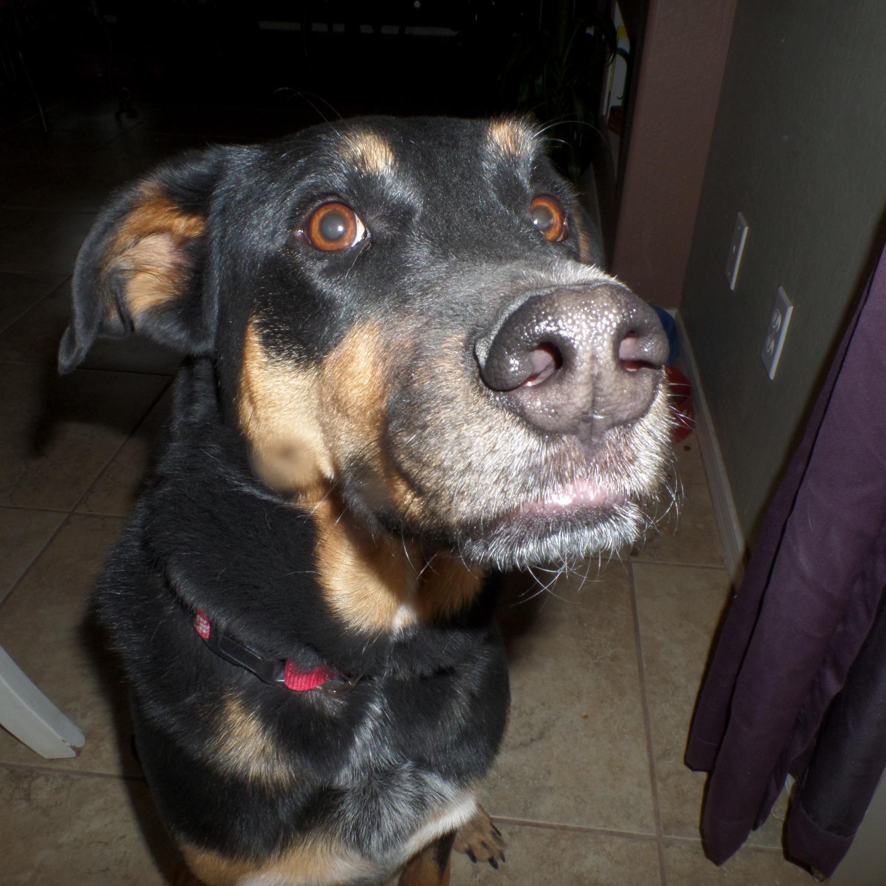 azshizzy's profile picture. 