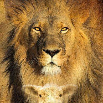 FaiiryL's profile picture. Creator President of Christian Flags and Patriotic Products