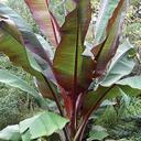 abby wing - @infoforawing - Twitter