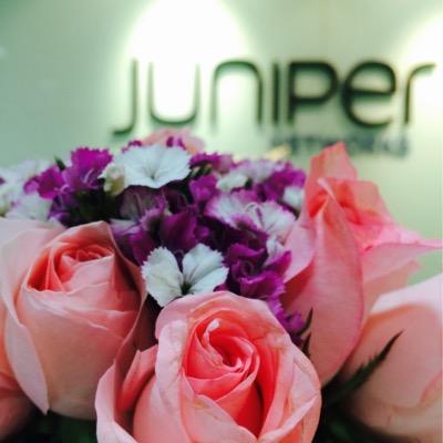 KevinKekai's profile picture. 