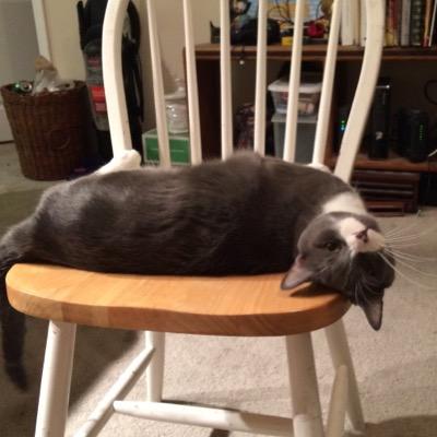 Ahhhh, a day in the life of a cat...Meow.