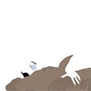 Caballo de Nietzsche (@caballoden) 's Twitter Profile Photo Caballo de Nietzsche (@caballoden) 's Twitter Profile Photo
