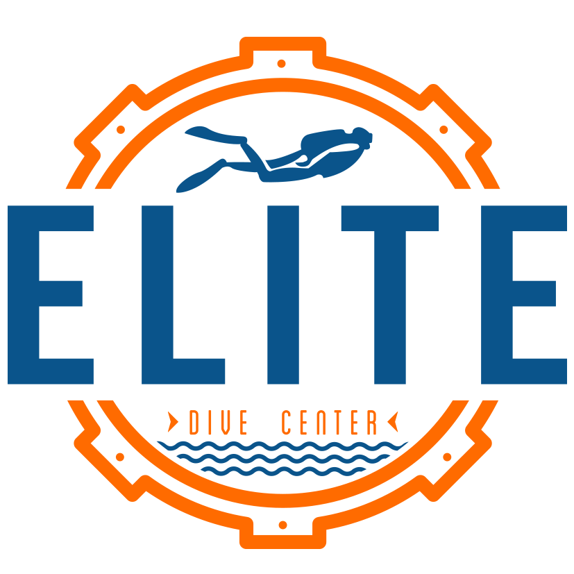 ELITE Co. Dive Center is located in San Miguel de Cozumel Mexico 5ta av. / 2 & 4  Contact us NOW /Llama YA! (987) 869 17 16