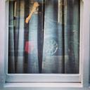 Janet Lindley - @lindlepops - Twitter