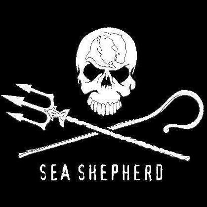 Official Twitter account for the Sea Shepherd Tampa Chapter