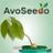 AvoSeedo's profile image