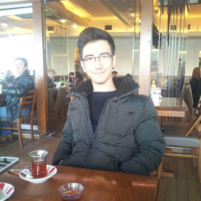 AslnBerk's profile picture. 