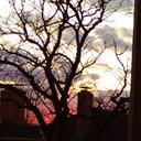 Camille Carpenter - @camilleface88 - Twitter