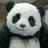 Ke1Kejo's profile image