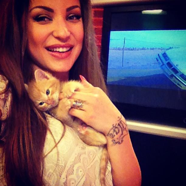 shkurtee4273546's profile picture. 