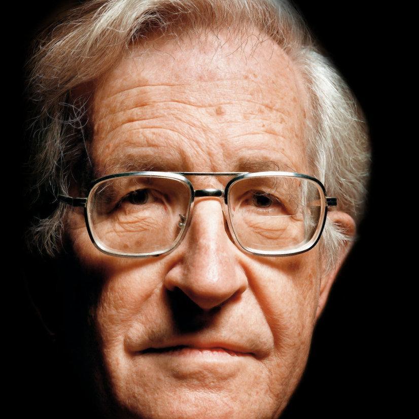 Enjoy the best Noam Chomsky Quotes..