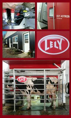 Dairy Farmer