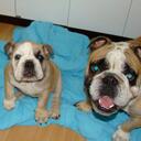 Daniel ReIs - @DanielBuco - Twitter