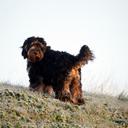 Peter Bowden - @Bowden4Peter - Twitter