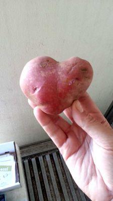 I work for a food justice + youth dev org. I bring the veggies to your neighborhood.