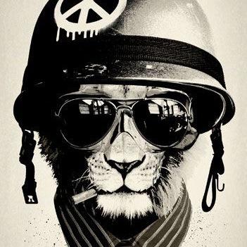 Animal & Environmental Activism! Promoting: News | Thought Leadership | Petitions | Campaigns | Tweetstorms | Events | Protests. Founder @SIC_StopCruelty