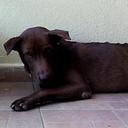 Patrick Lagendijk - @patrick_edgar - Twitter