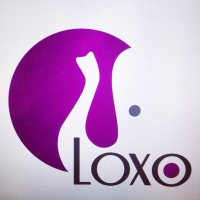 LOXO son Joyas, con diseños inspirados en tu propia historia. Para pedidos y cotizaciones escribenos a isabela.zuluaga@loxo.com.co