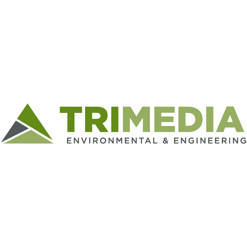 TriMedia EE Profile