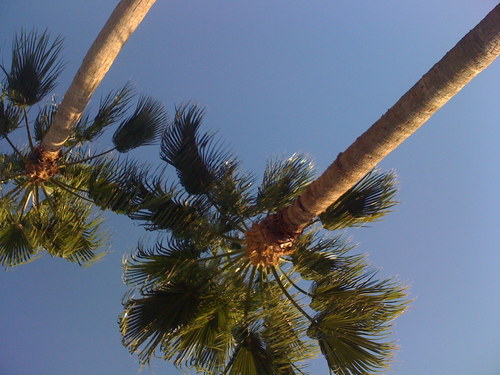 SoberHumor's profile picture. 