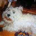 Barbara Ruhe - @barbarasruhe - Twitter