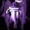 collectible pets fan; GH fan; Sci-Fi/Fantasy fan. I'm a little opinionated but would never consciously hurt anyone's feelings. Love my TV! Don't pull my wings.