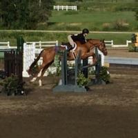 LegToHand (@leg_to_hand) 's Twitter Profile