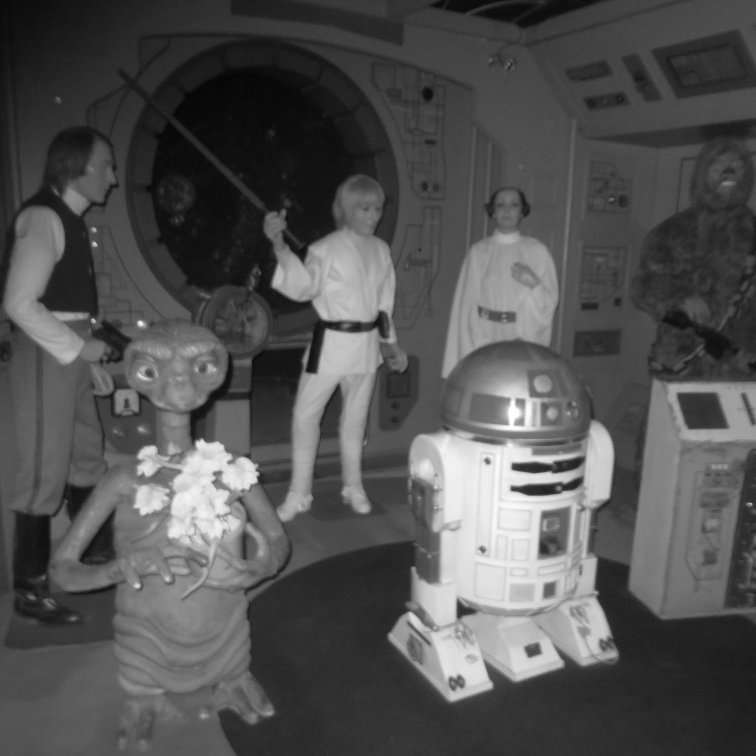 DottyFaulkner's profile picture. 